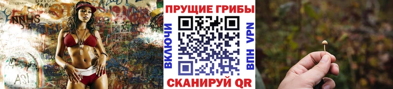 MEGA онион  дарк нет наркотические препараты  Галлюциногенные грибы Magic Shrooms  Томари 